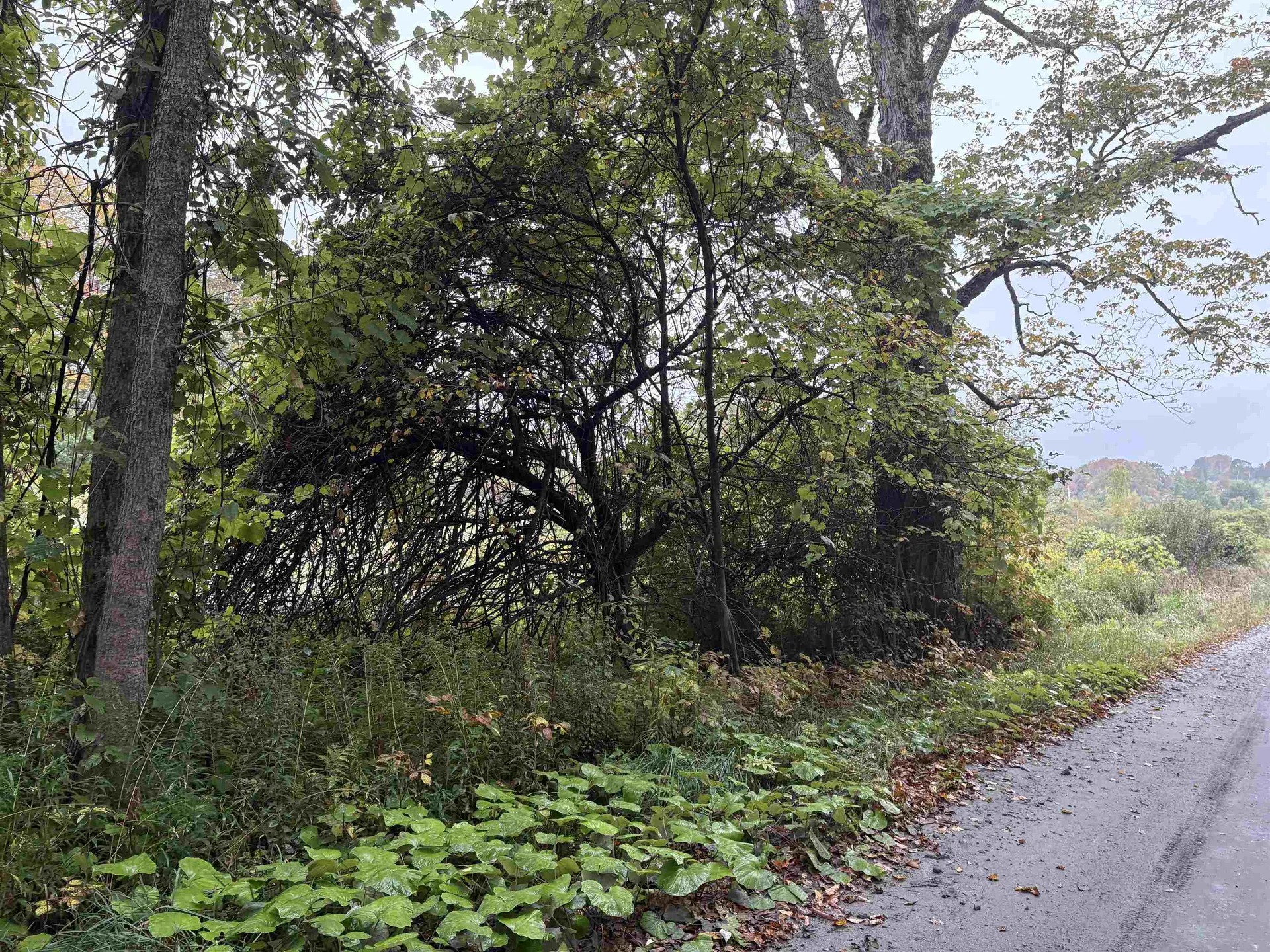 0 West Street Brookfield VT 05036