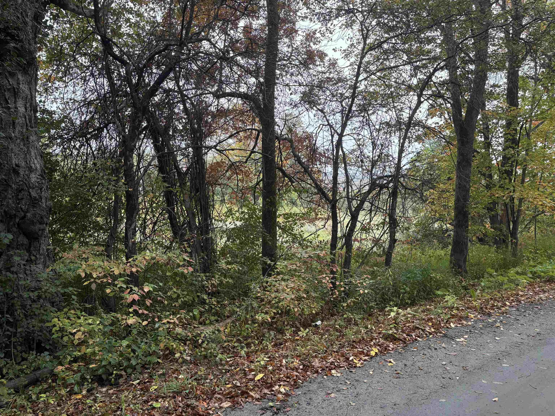 0 West Street Brookfield VT 05036