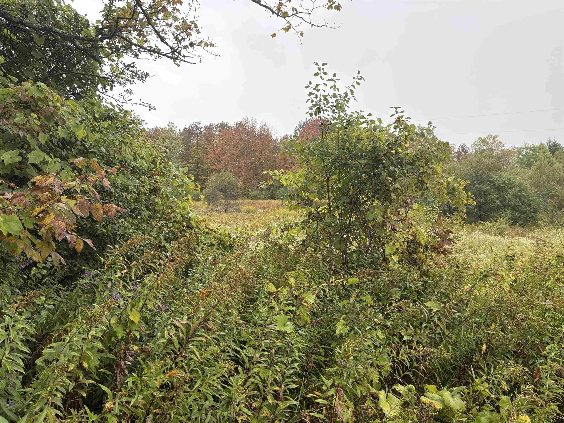 0 West Street Brookfield VT 05036