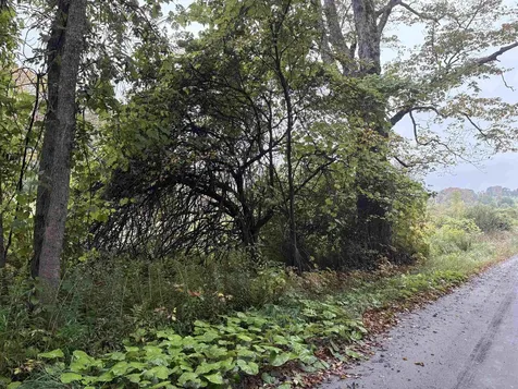 0 West Street Brookfield VT 05036