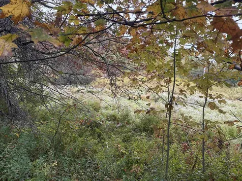 0 West Street Brookfield VT 05036