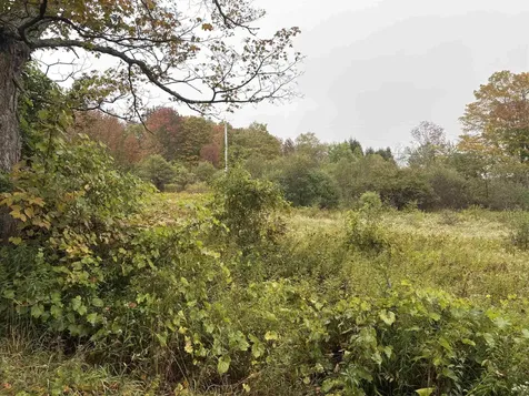 0 West Street Brookfield VT 05036