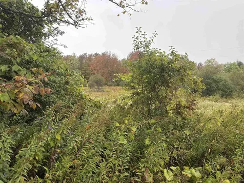 0 West Street Brookfield VT 05036