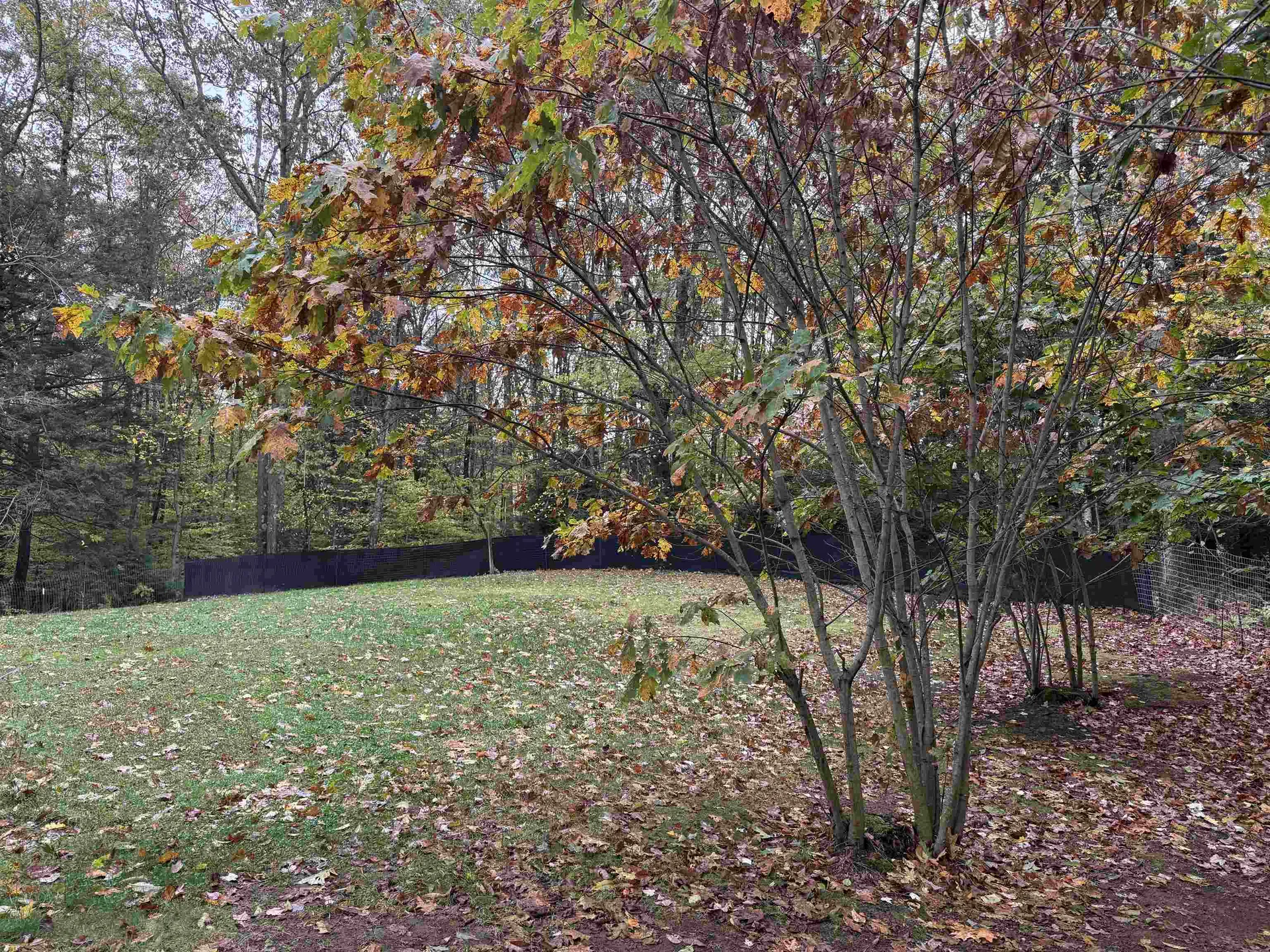 307 Main Street Rindge NH 03461