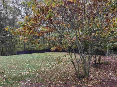 307 Main Street Rindge NH 03461