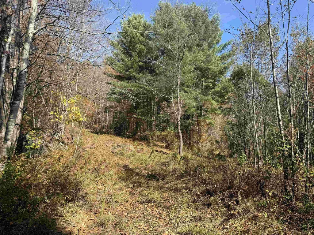 0 North Road Guildhall VT 05905