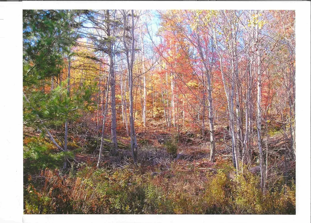 0 North Road Guildhall VT 05905