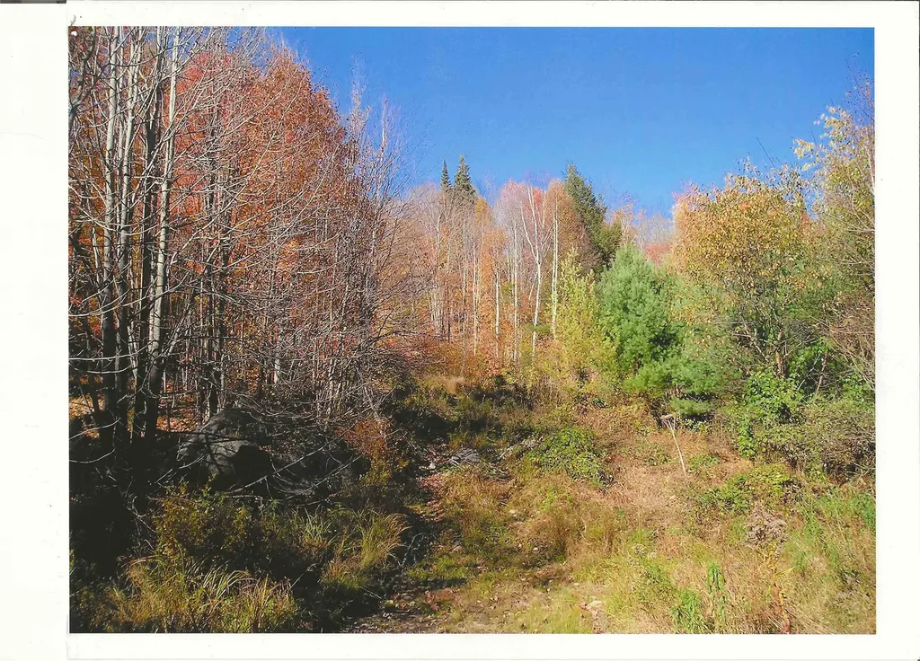 0 North Road Guildhall VT 05905