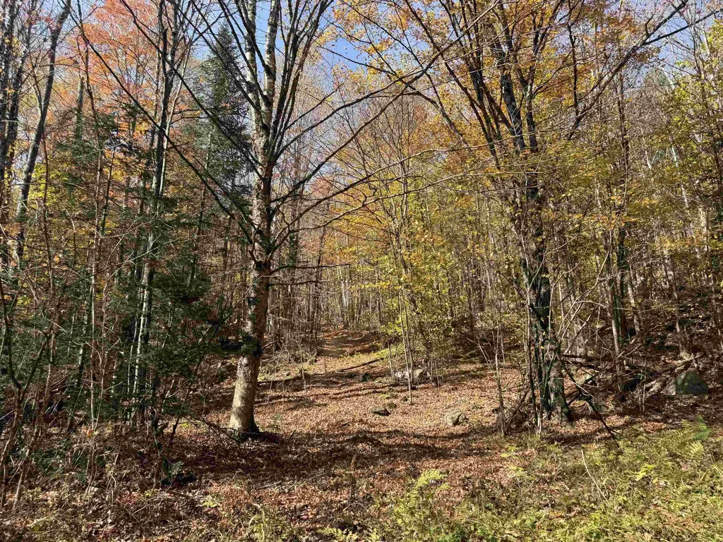 0 North Road Guildhall VT 05905