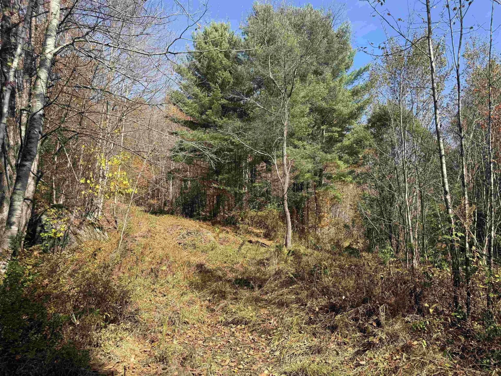 0 North Road Guildhall VT 05905