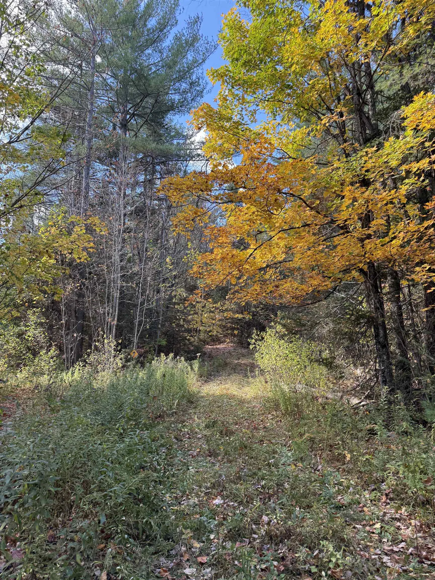 0 North Road Guildhall VT 05905