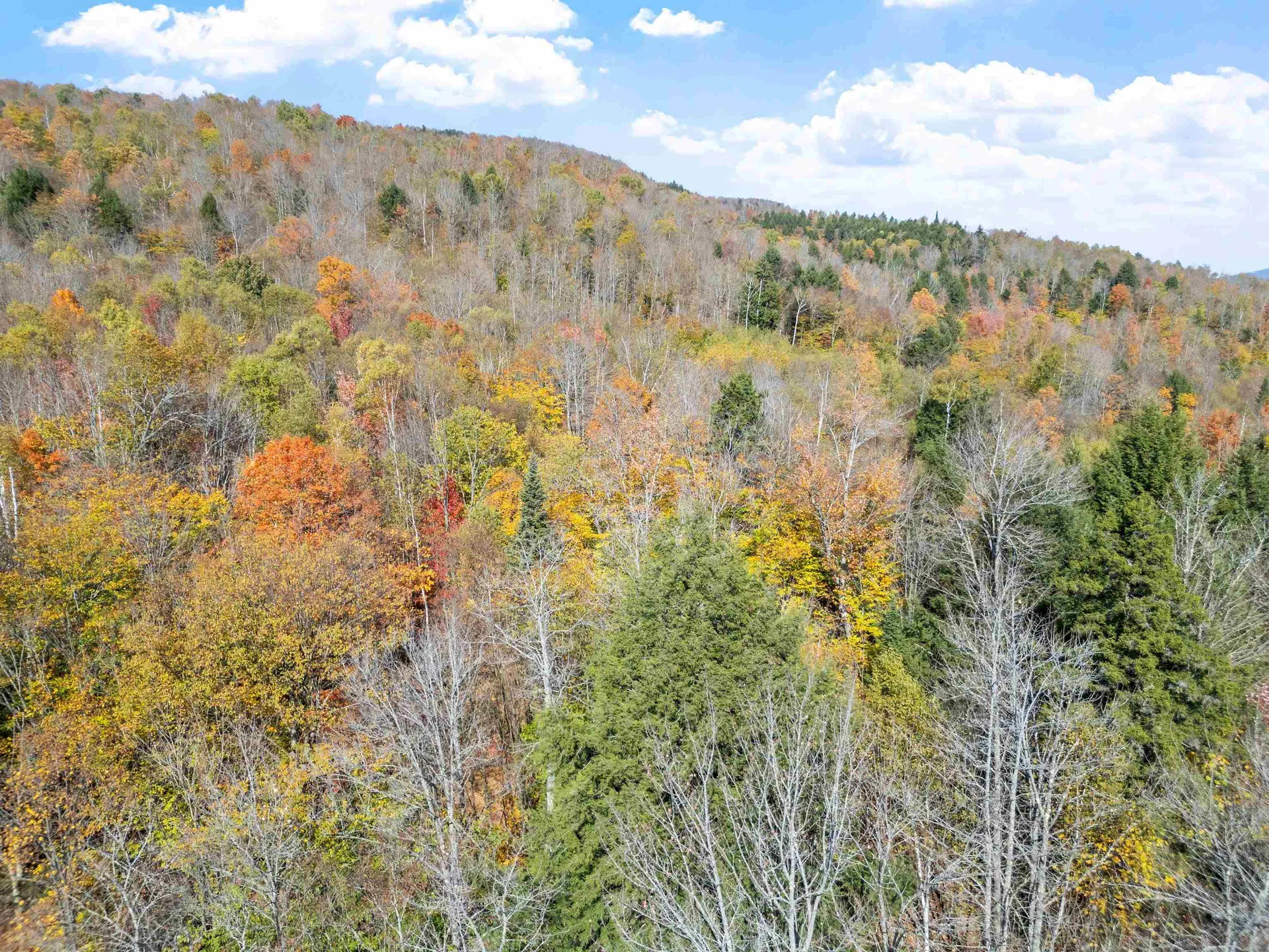 0 North Road Guildhall VT 05905