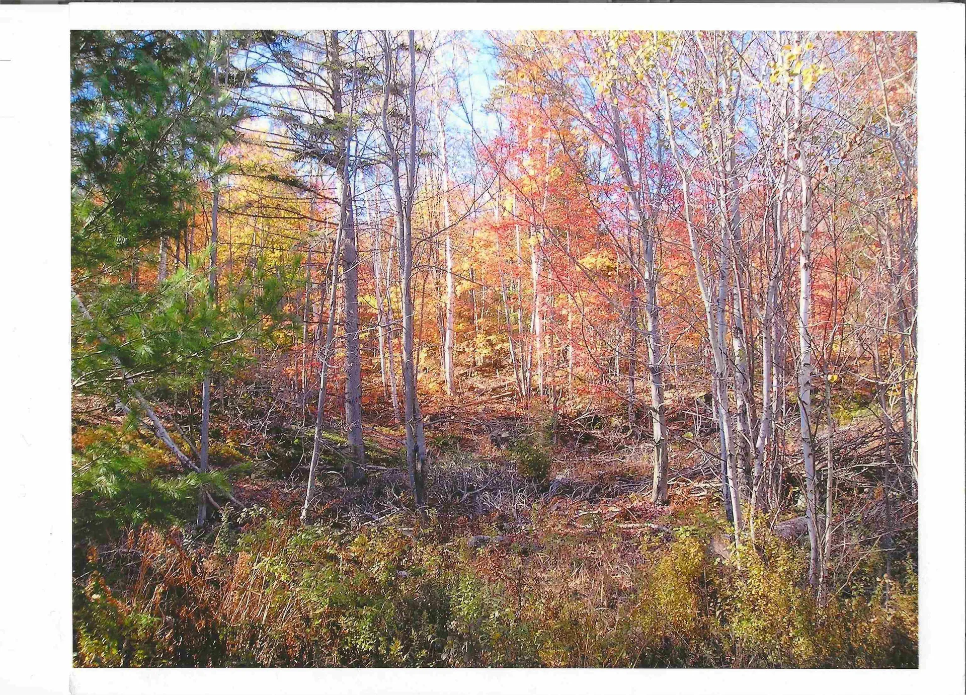 0 North Road Guildhall VT 05905