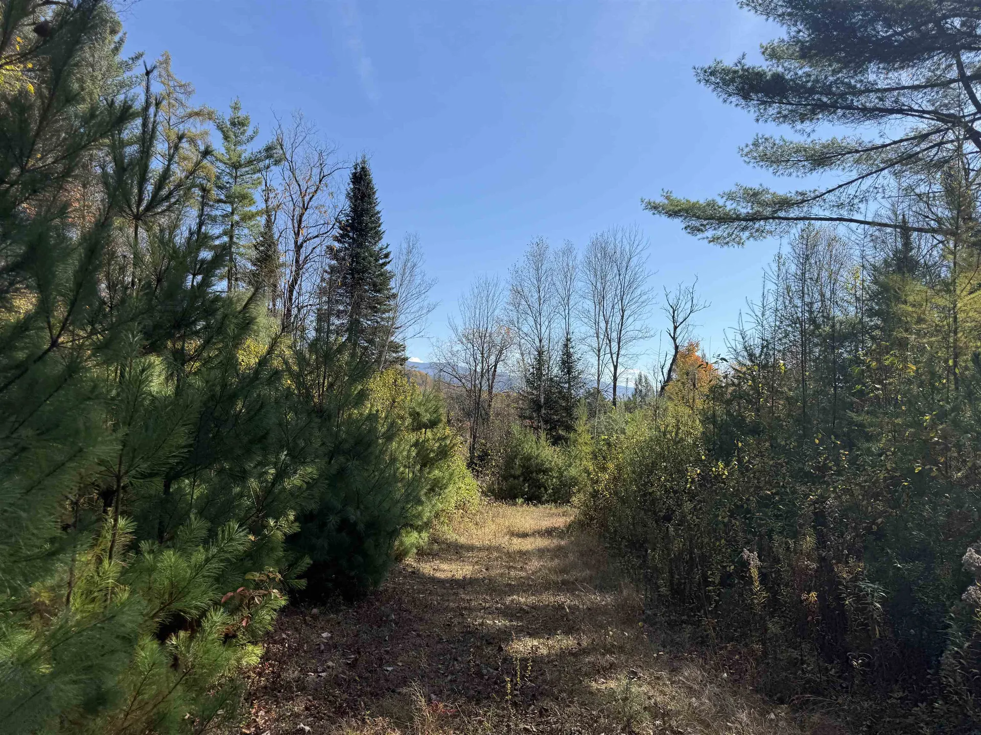 0 North Road Guildhall VT 05905