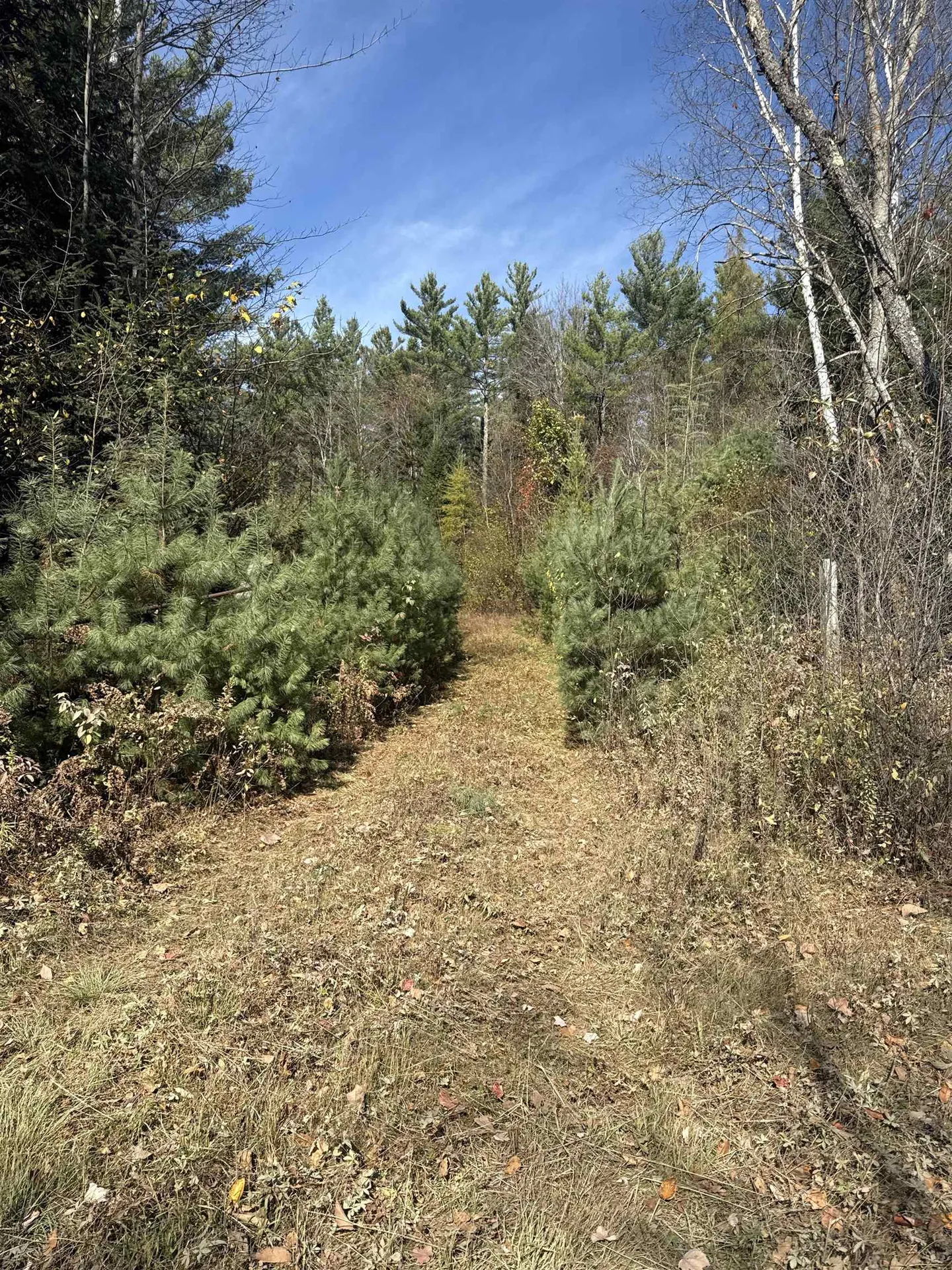 0 North Road Guildhall VT 05905