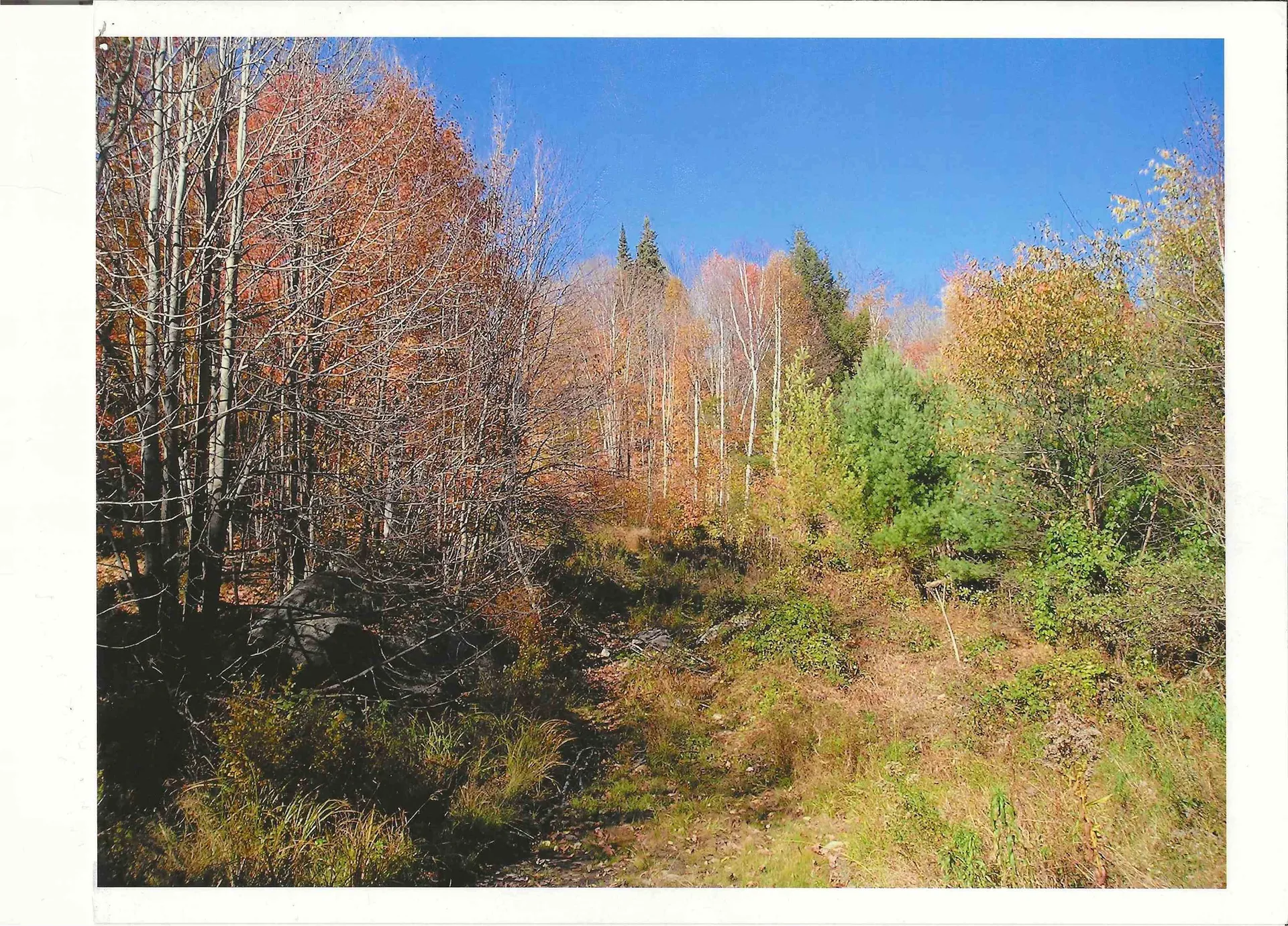 0 North Road Guildhall VT 05905