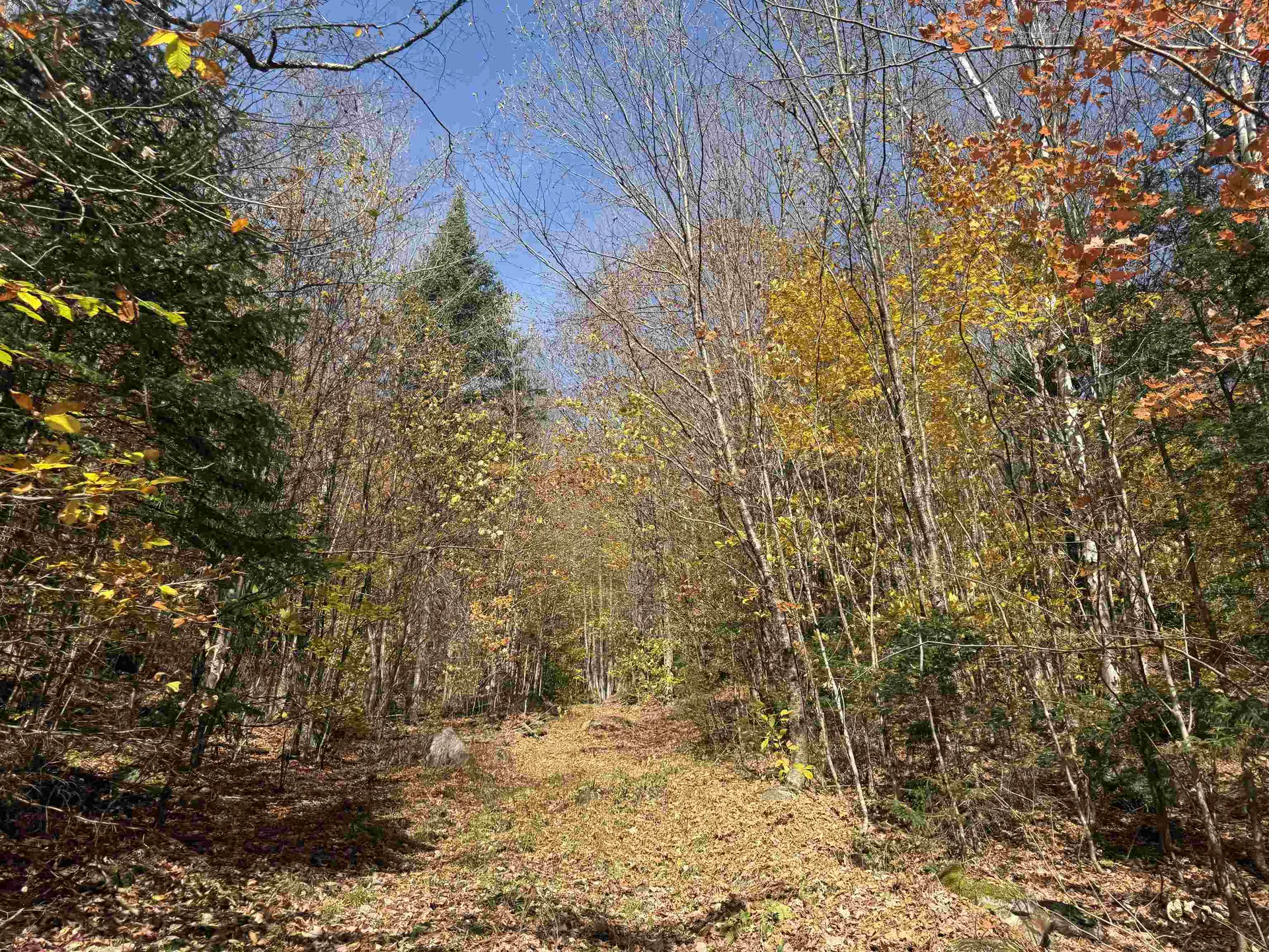 0 North Road Guildhall VT 05905