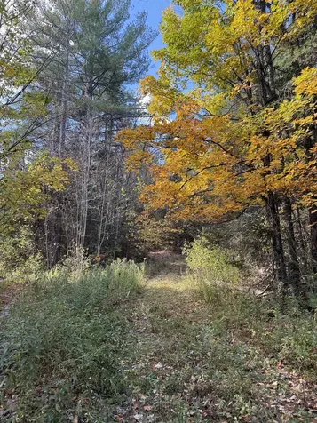 0 North Road Guildhall VT 05905