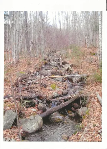 0 North Road Guildhall VT 05905