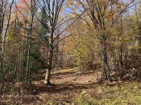 0 North Road Guildhall VT 05905