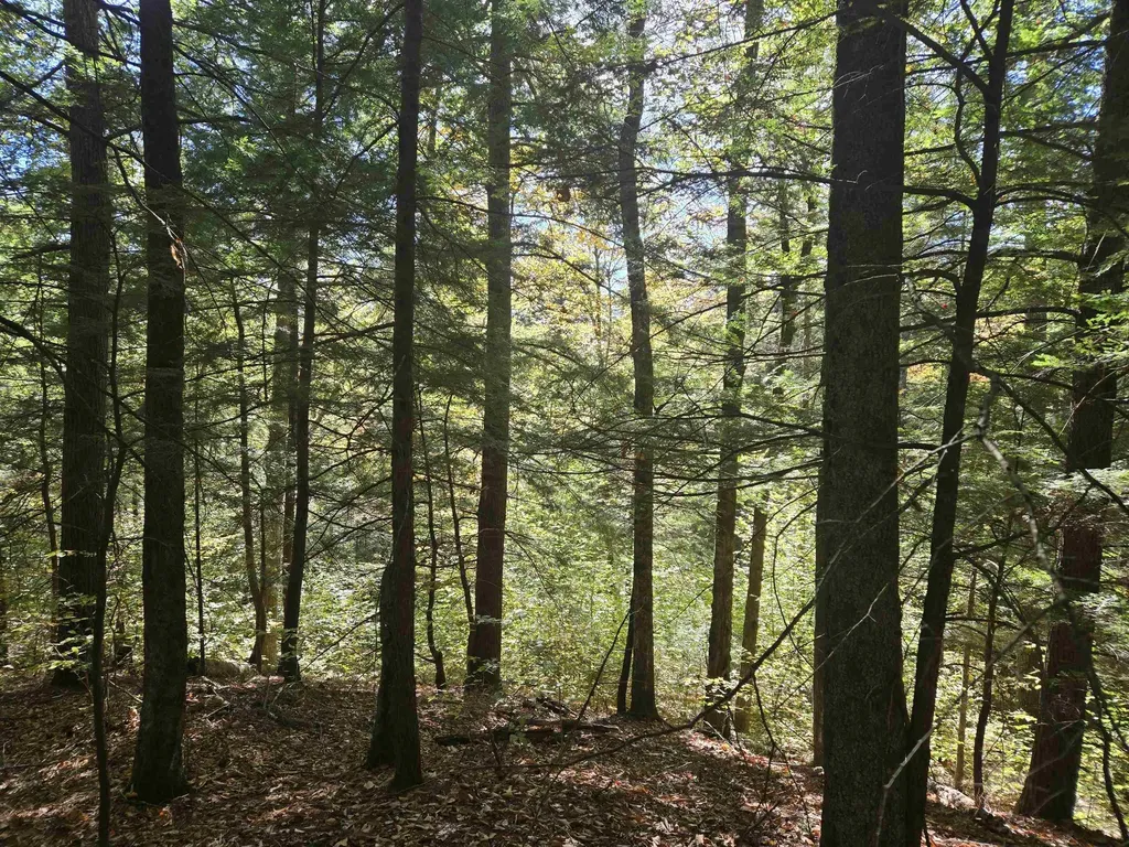 00 Thorn Hill Road Bartlett NH 03812