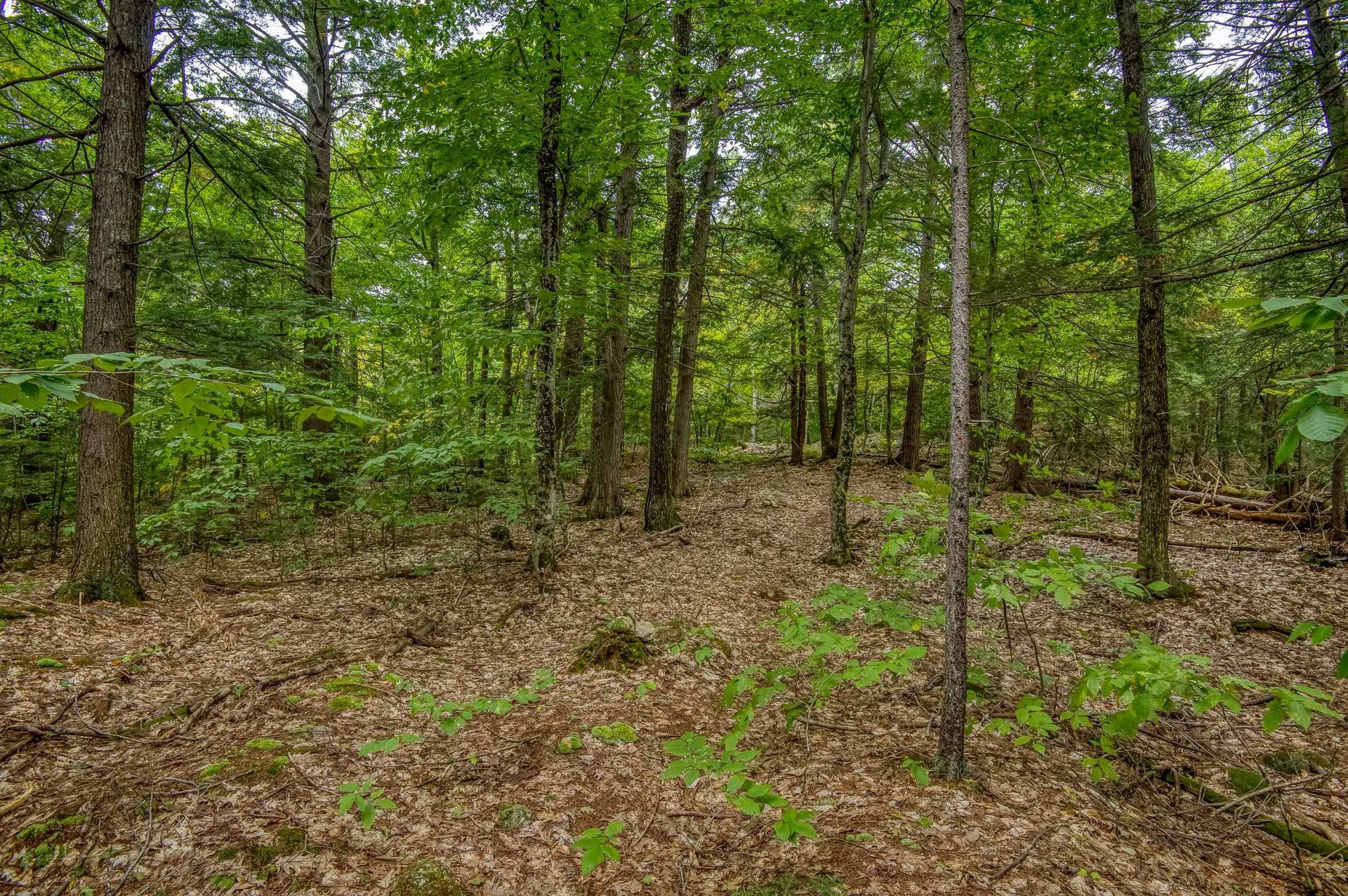 00 Thorn Hill Road Bartlett NH 03812