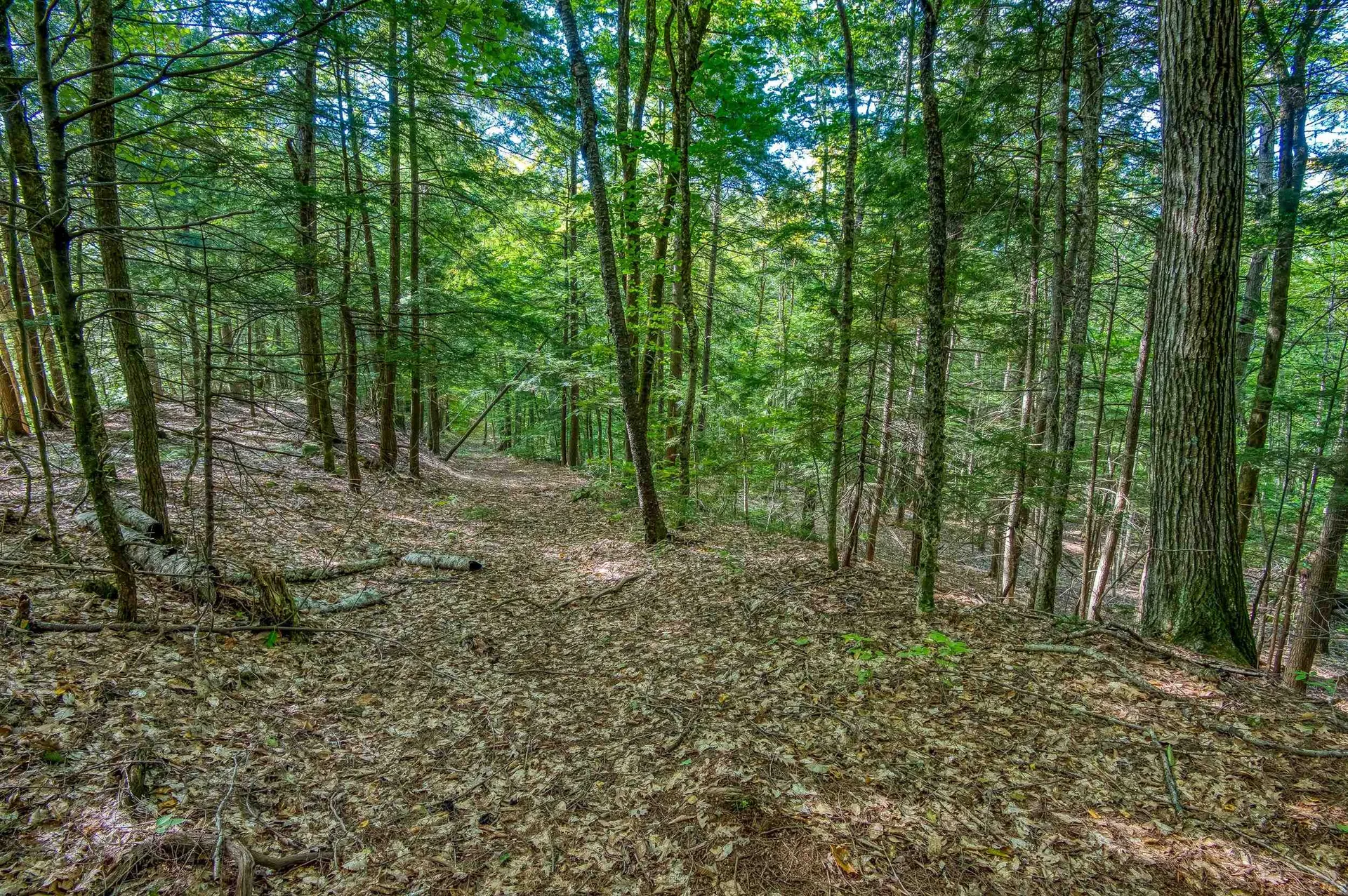 00 Thorn Hill Road Bartlett NH 03812