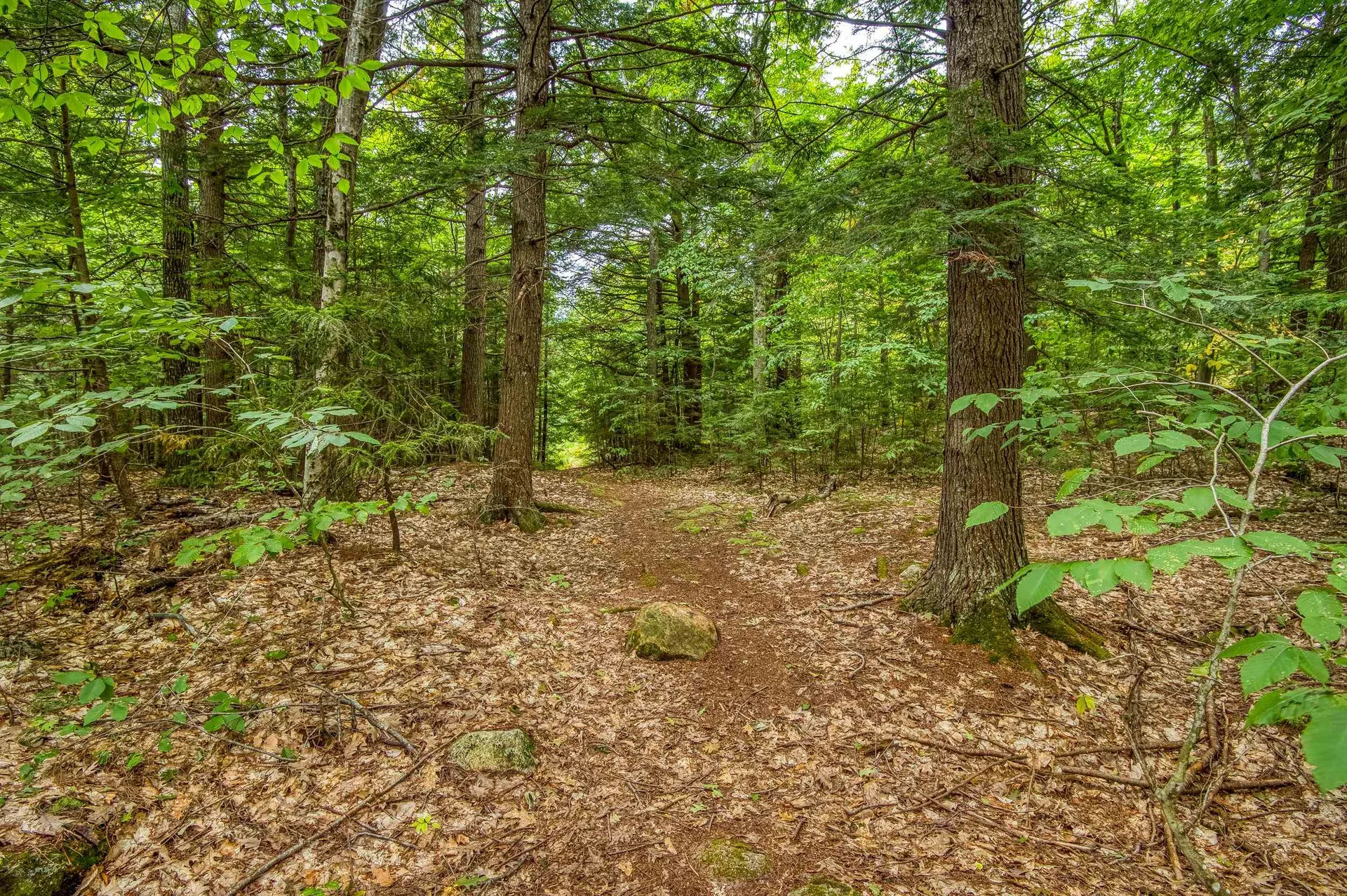 00 Thorn Hill Road Bartlett NH 03812