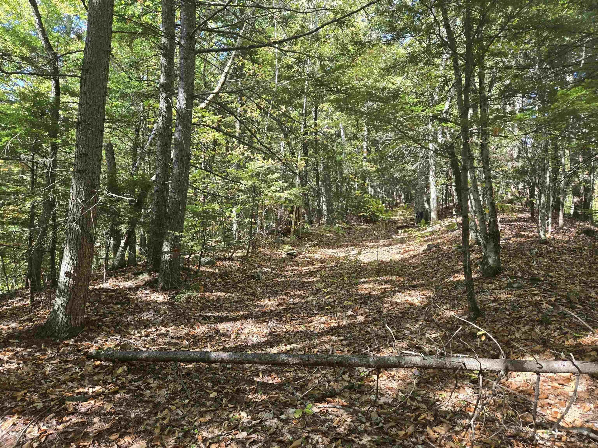 00 Thorn Hill Road Bartlett NH 03812