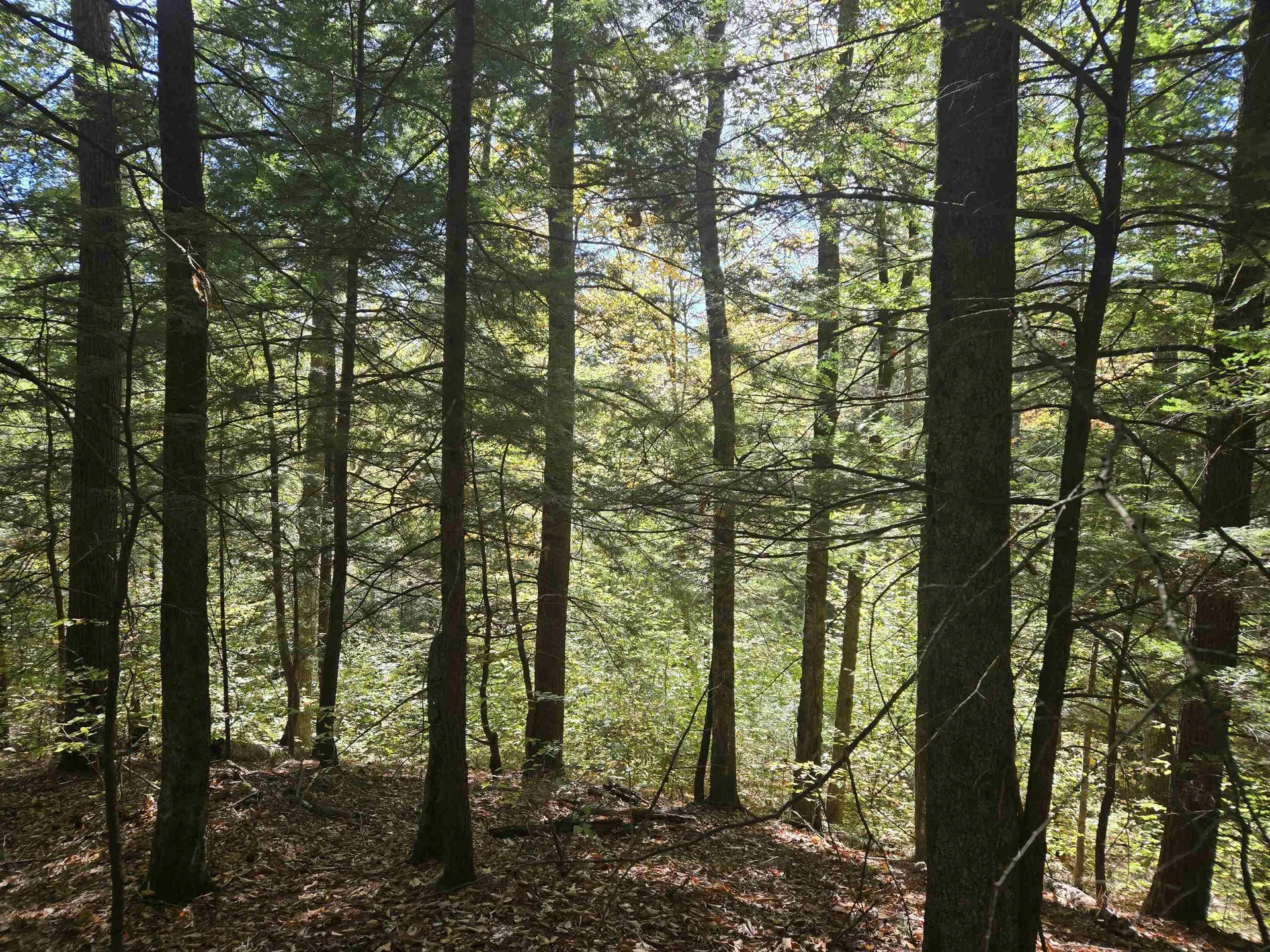 00 Thorn Hill Road Bartlett NH 03812