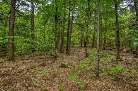 00 Thorn Hill Road Bartlett NH 03812