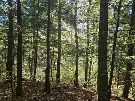 00 Thorn Hill Road Bartlett NH 03812