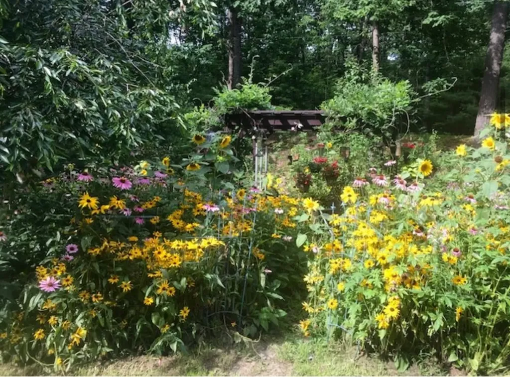 180 Gulf Road Northwood NH 03261