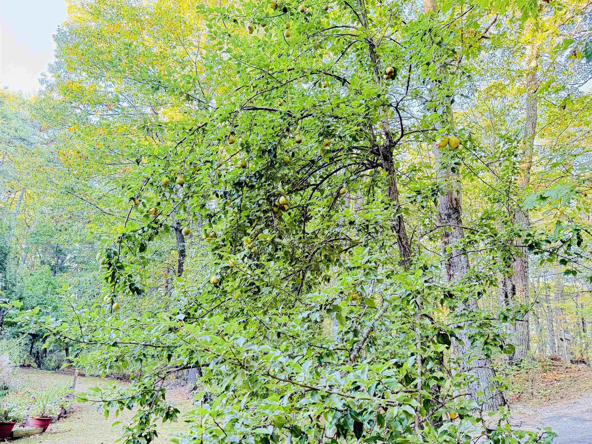 180 Gulf Road Northwood NH 03261