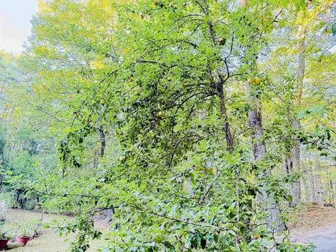 180 Gulf Road Northwood NH 03261