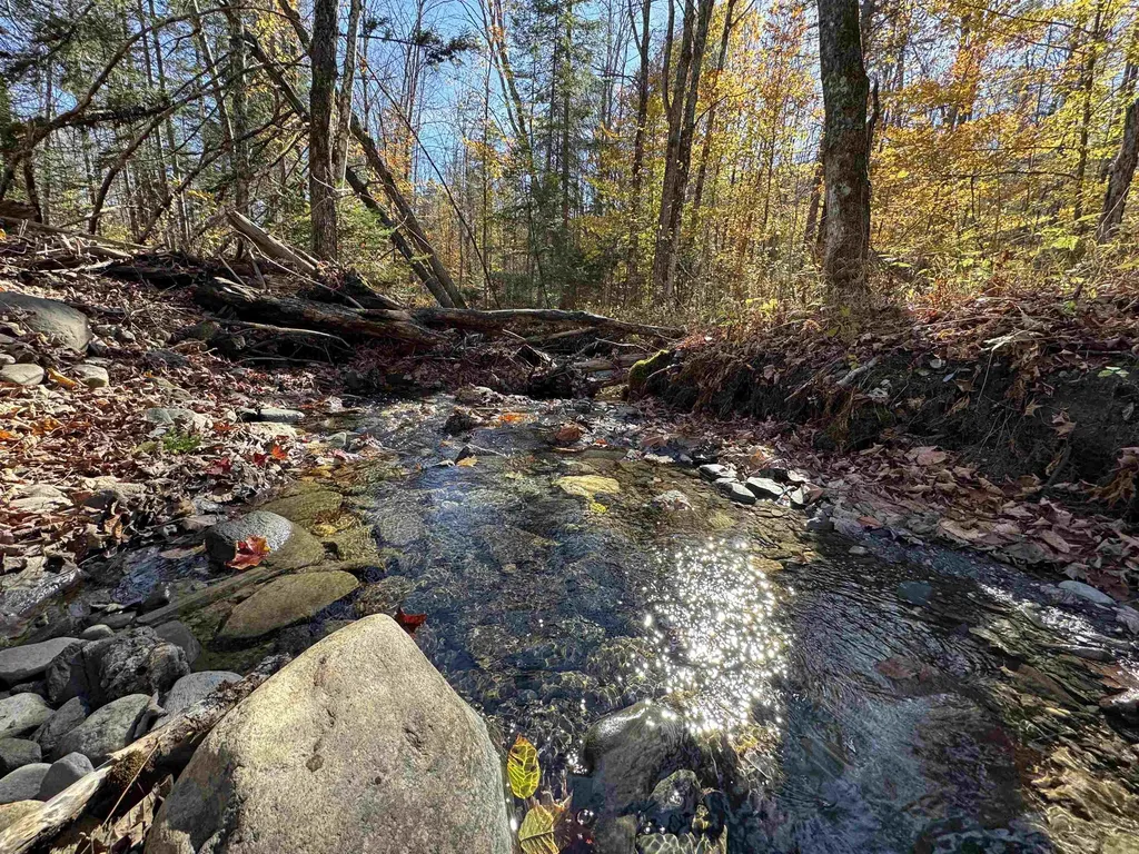 1350 Stellar Road Williamstown VT 05679