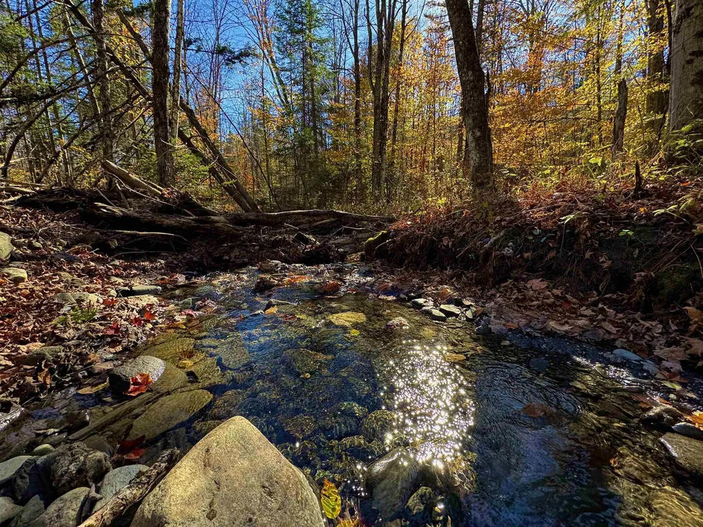 1350 Stellar Road Williamstown VT 05679