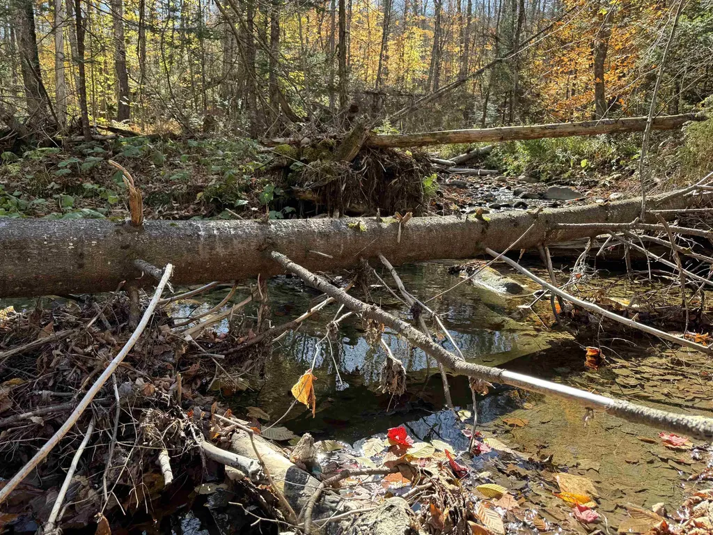 1350 Stellar Road Williamstown VT 05679