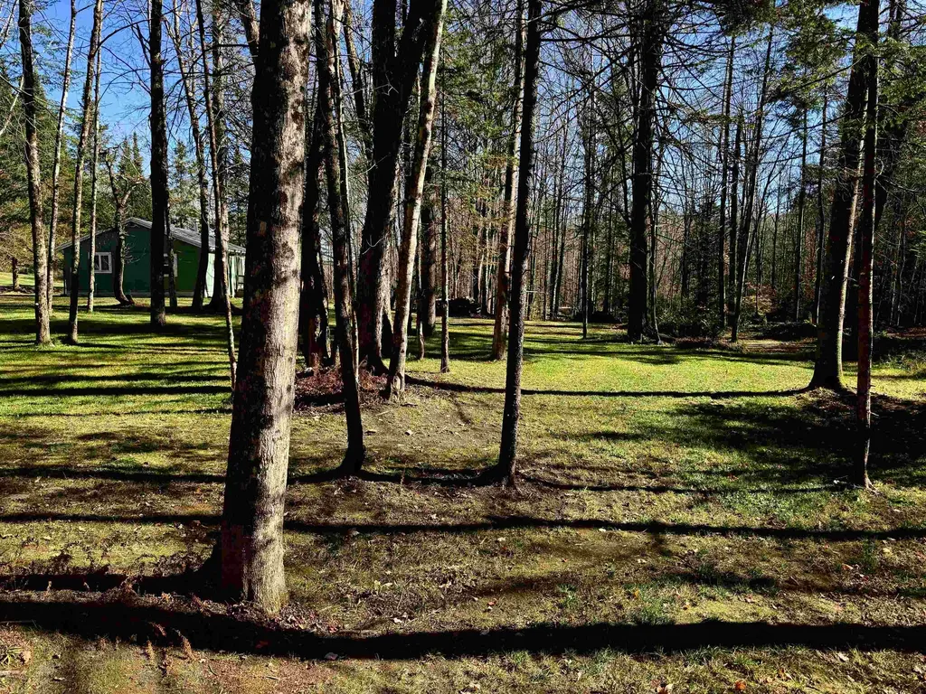 1350 Stellar Road Williamstown VT 05679