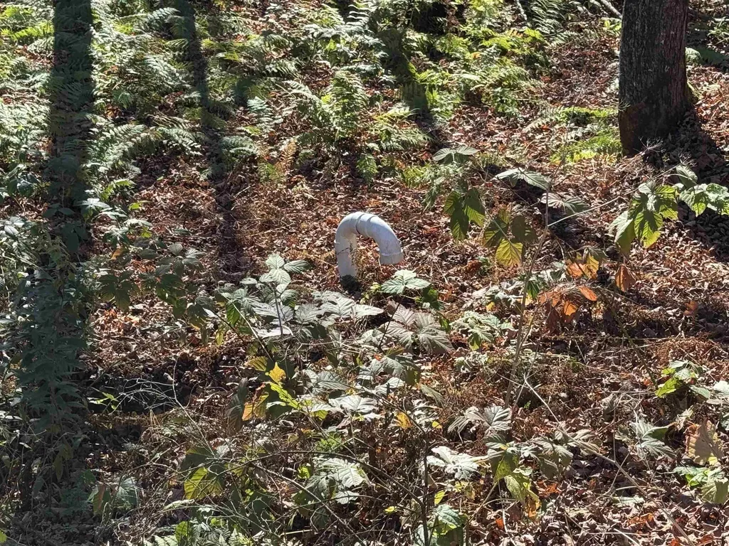 1350 Stellar Road Williamstown VT 05679