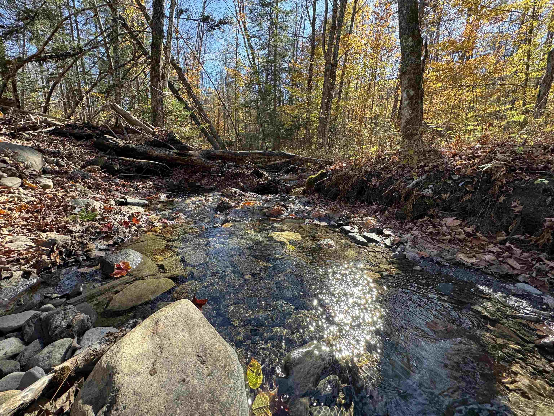 1350 Stellar Road Williamstown VT 05679