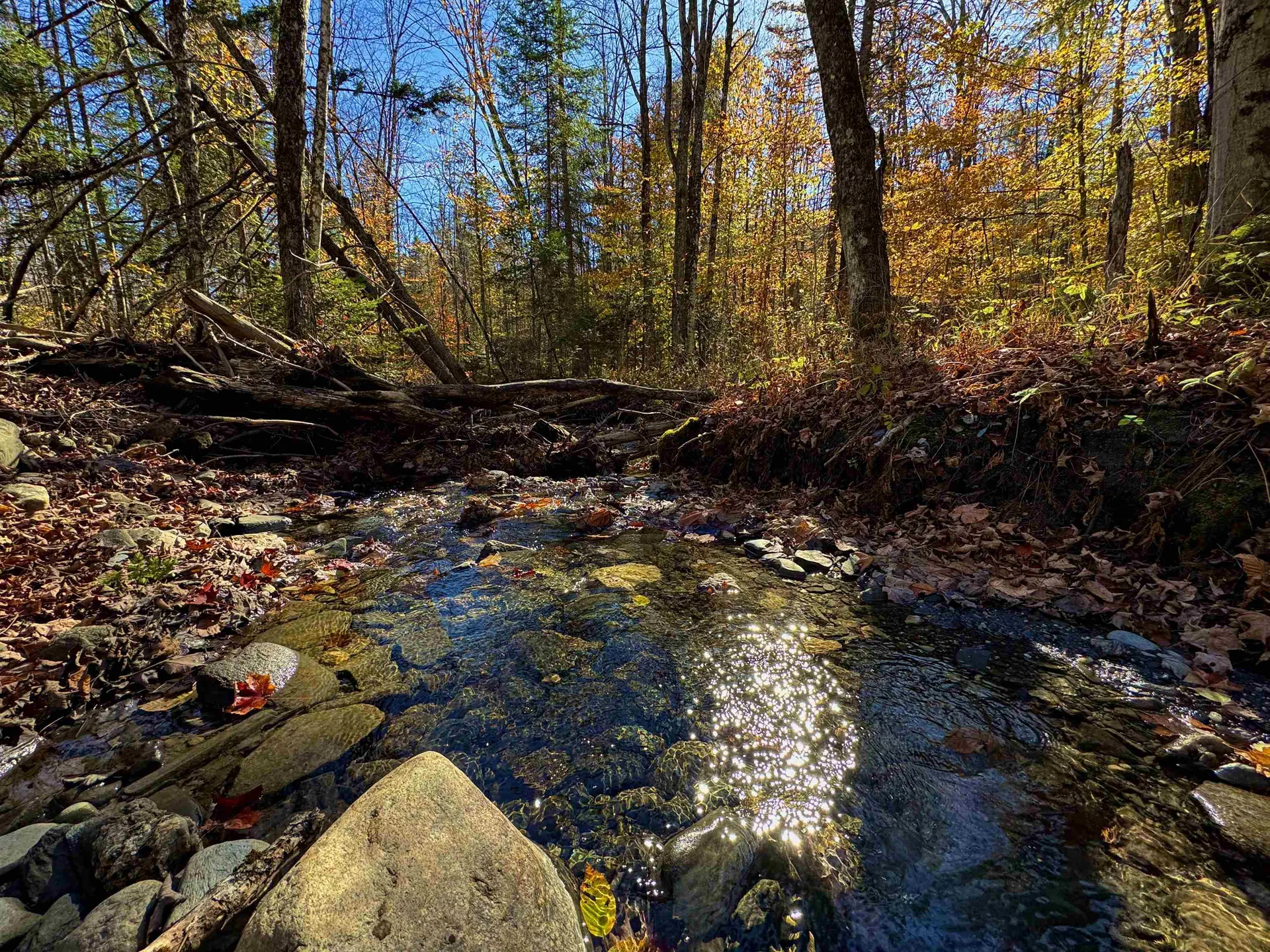 1350 Stellar Road Williamstown VT 05679