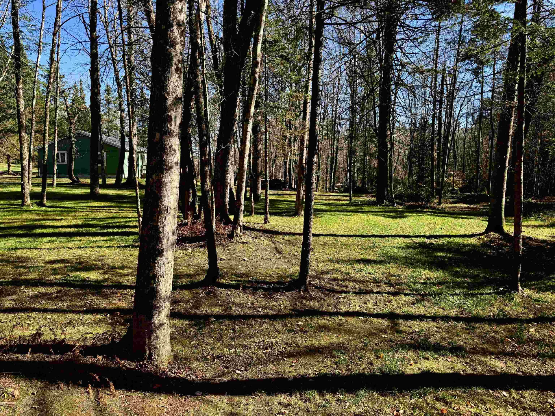 1350 Stellar Road Williamstown VT 05679