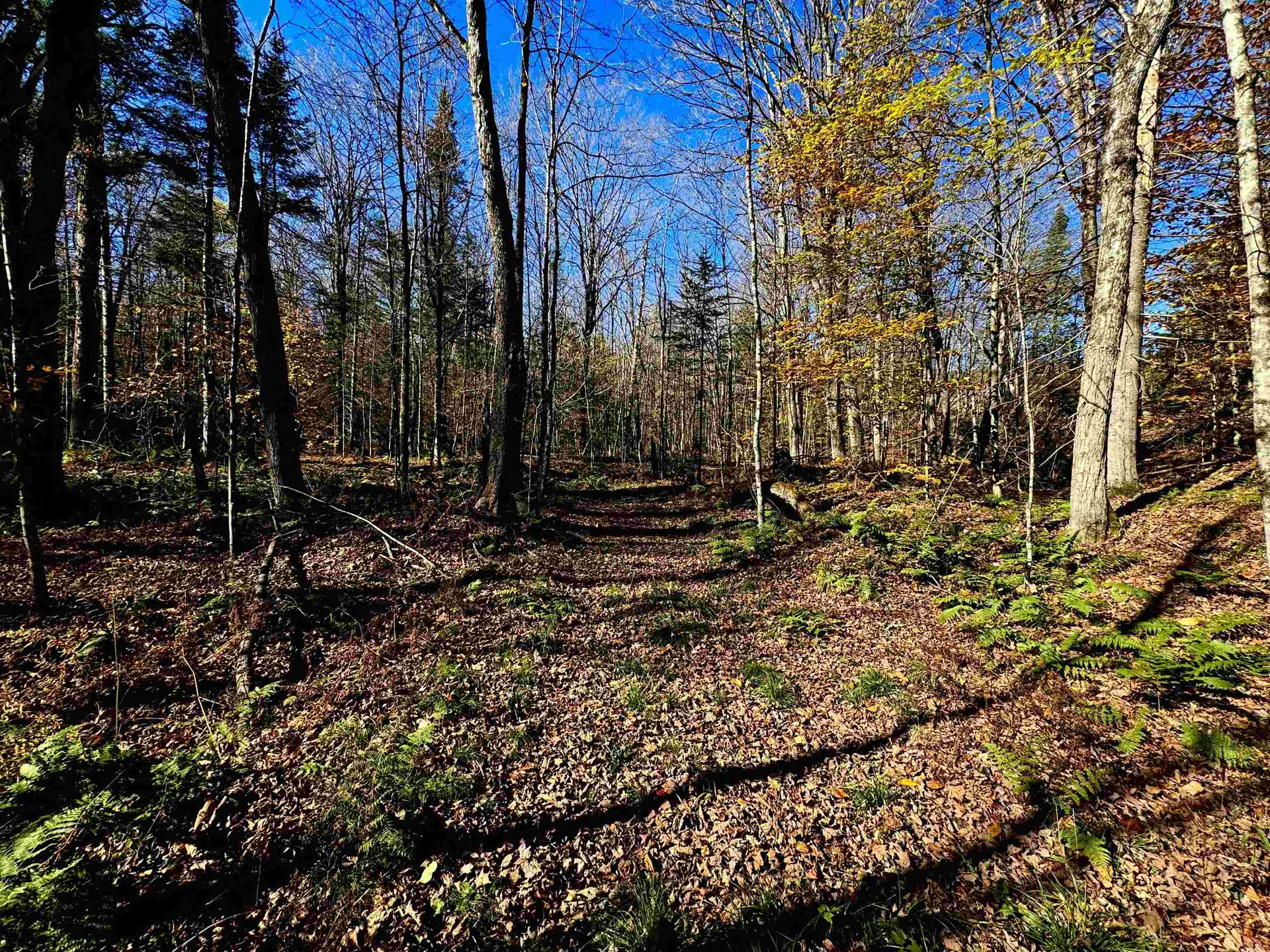 1350 Stellar Road Williamstown VT 05679