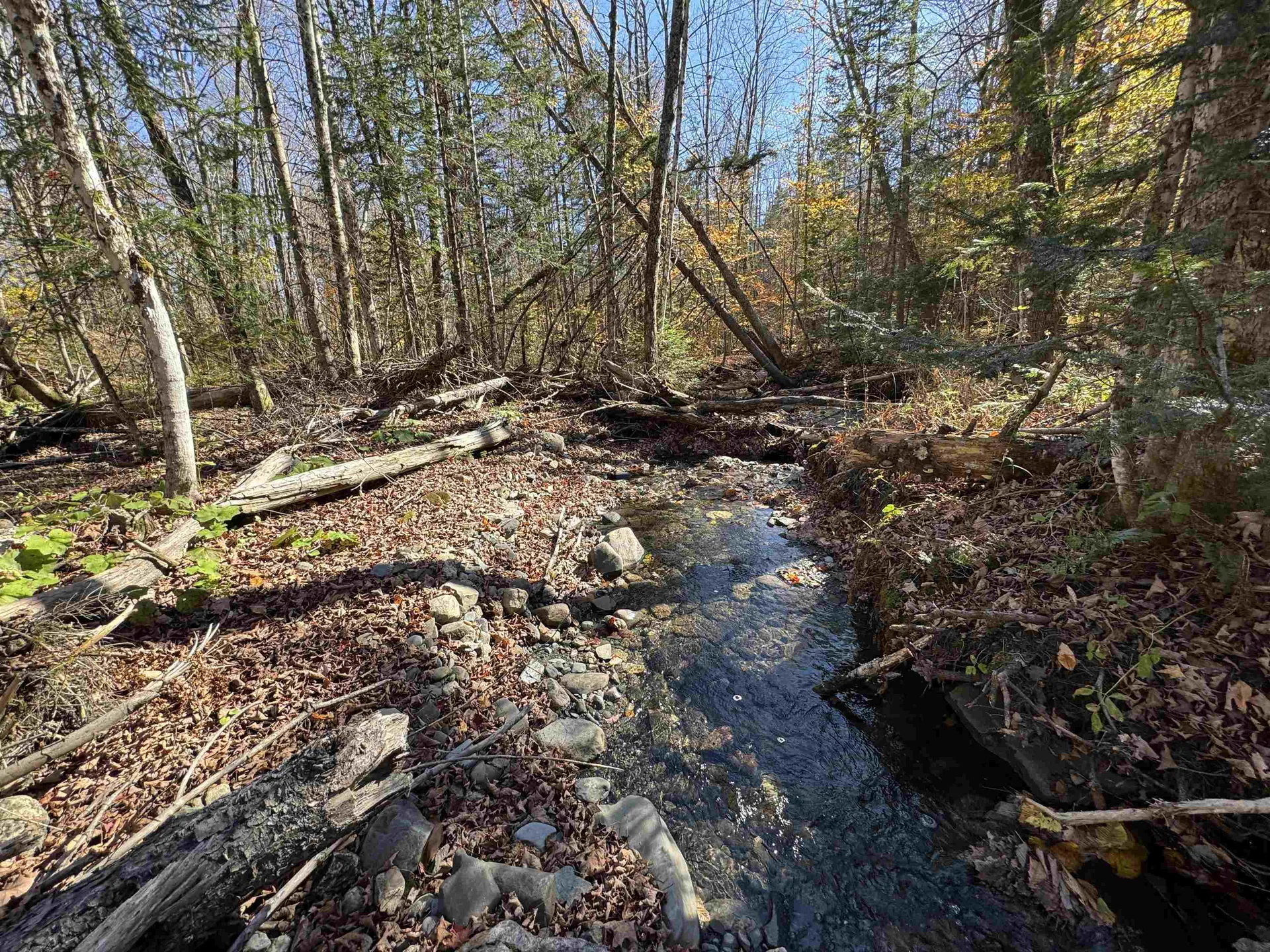 1350 Stellar Road Williamstown VT 05679