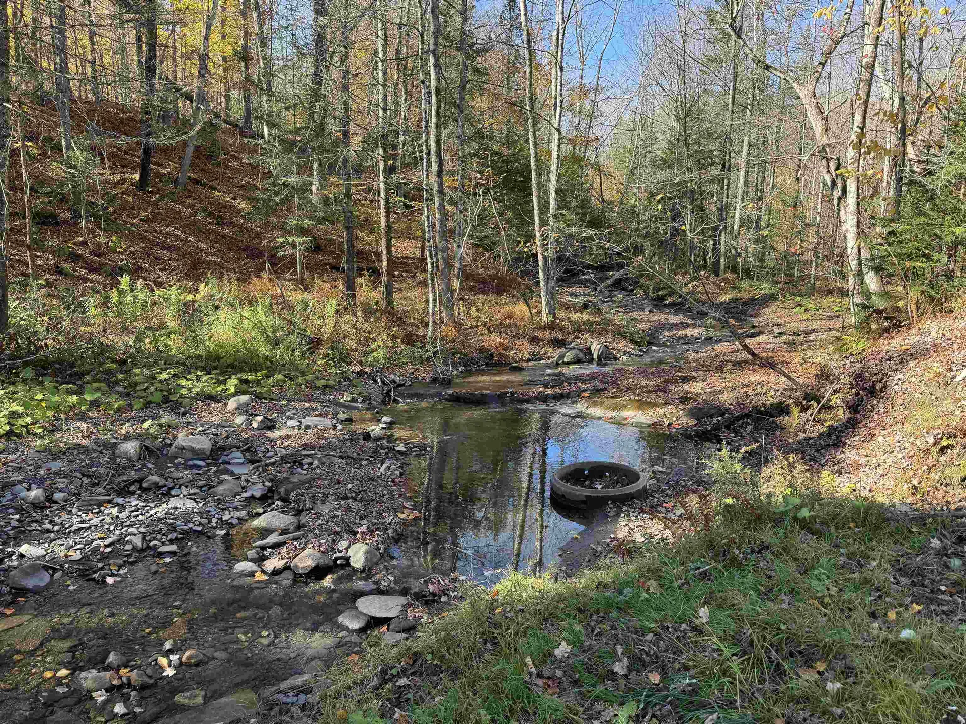 1350 Stellar Road Williamstown VT 05679