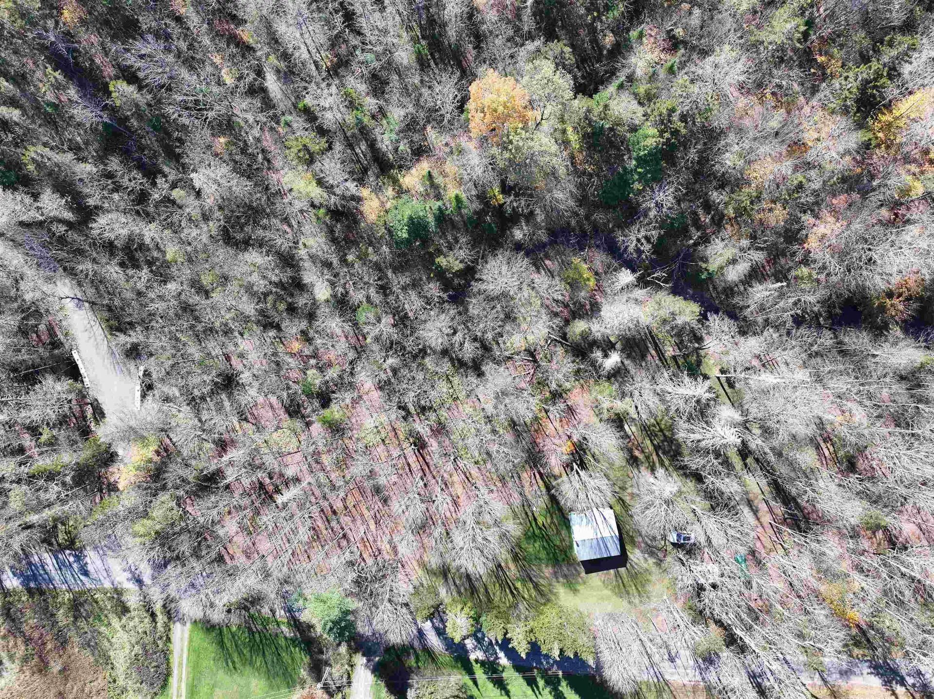 1350 Stellar Road Williamstown VT 05679