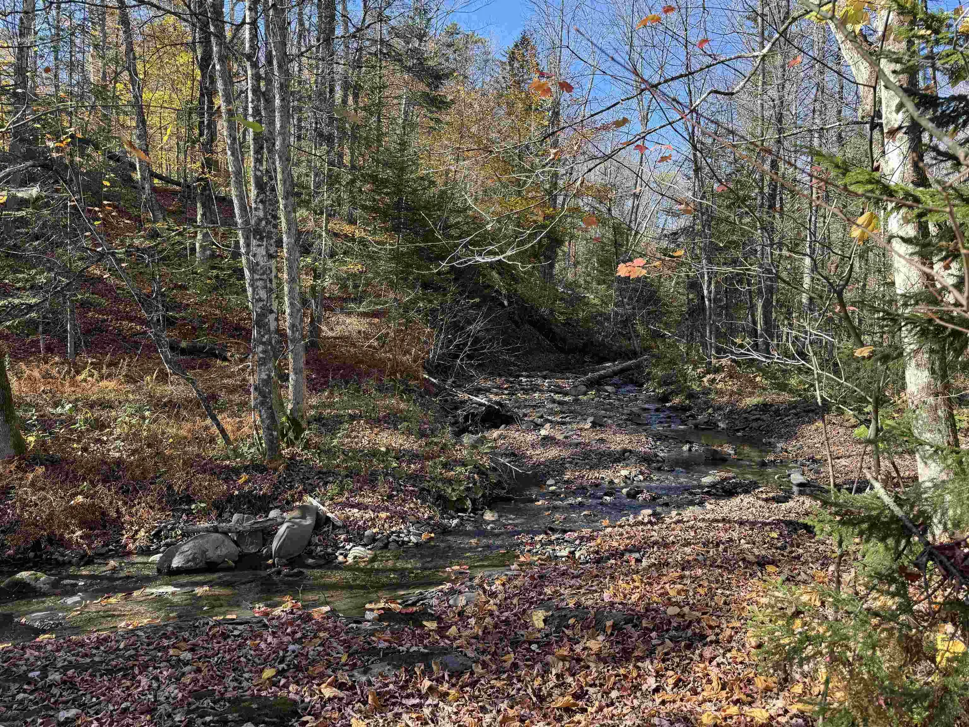 1350 Stellar Road Williamstown VT 05679