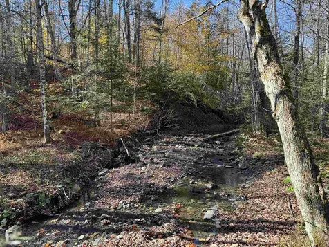 1350 Stellar Road Williamstown VT 05679