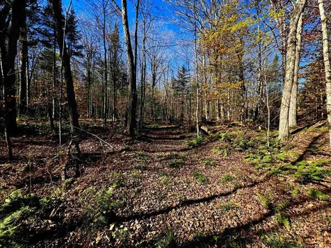 1350 Stellar Road Williamstown VT 05679